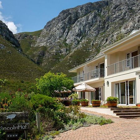 Francolinhof Guest House Hermanus Ngoại thất bức ảnh
