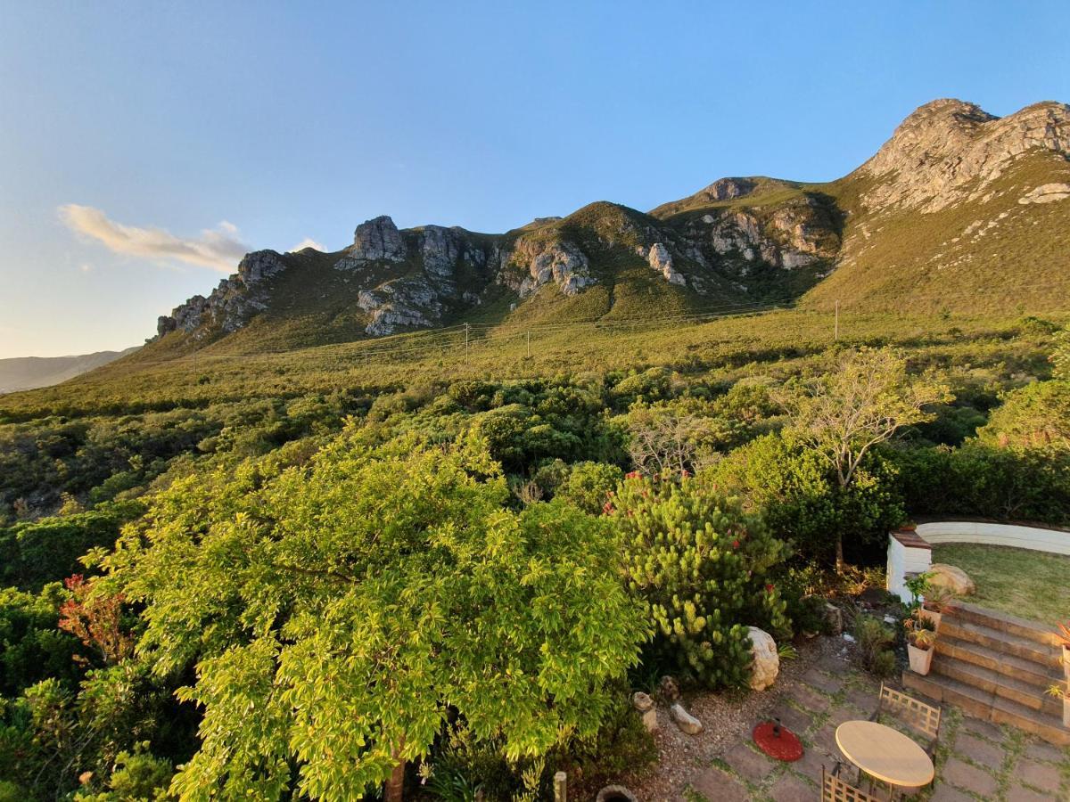 Francolinhof Guest House Hermanus Ngoại thất bức ảnh